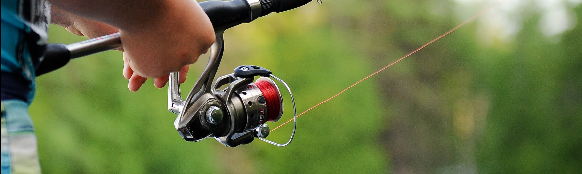Live Bait and Tackle