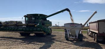 soybean harvest 2021