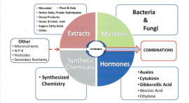 Rosen's Basics of Biostimulants