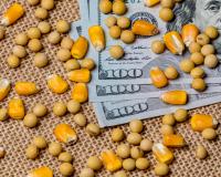 corn and soybean seed on $100 bill