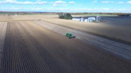 drone shot of soybean plot harvest