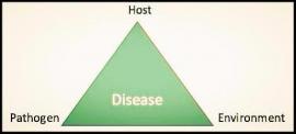 Disease diagram