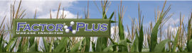 Factor Plus fact sheet photo