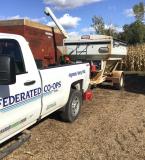 Federated truck at harvest
