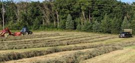 baling hay 2020