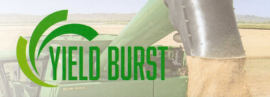 Yield Burst from Rosen's