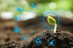 seedling and technology